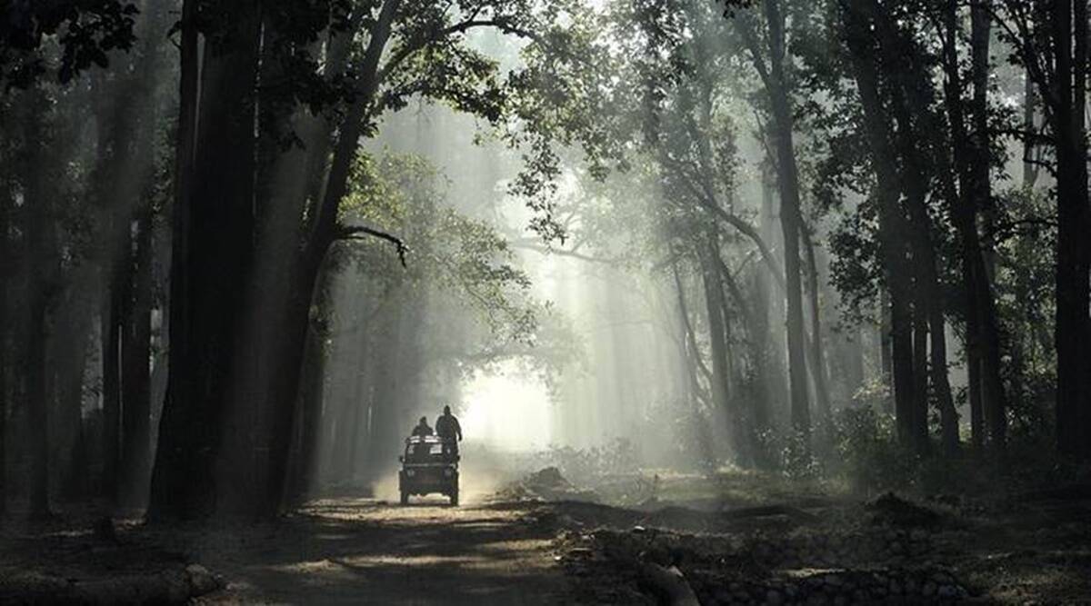 Jim Corbett National Park